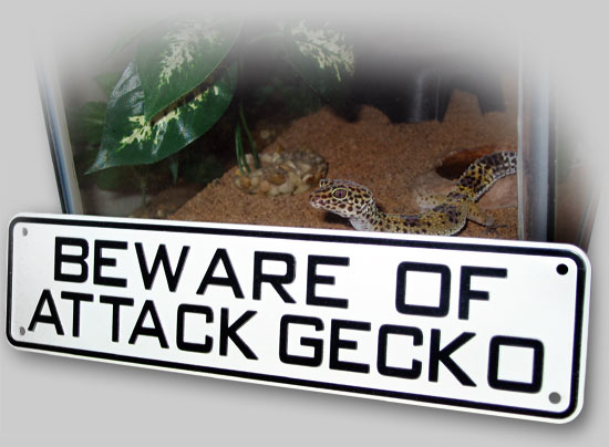 BEWARE